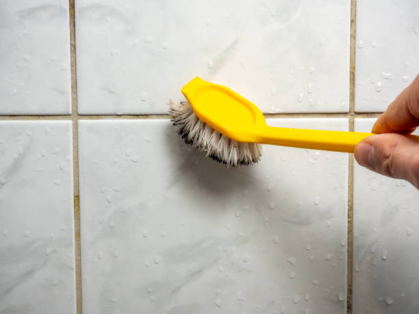 Best Residential Mold Remediation in Ocean Grove, MA